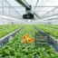 How to Use AI for Pest Detection and Crop Disease Management